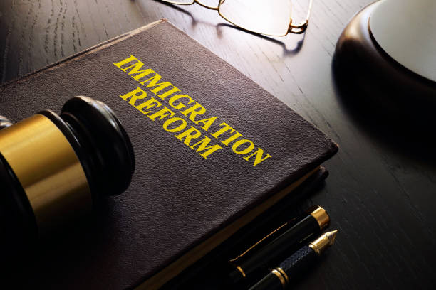 Immigration Habeas Corpus Attorney